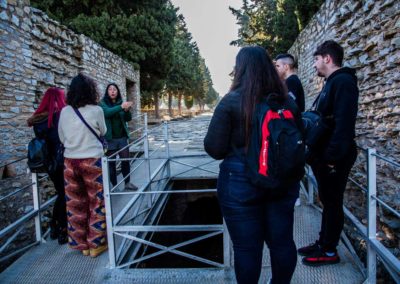 Visita guiada ciudad romana de Itálica Santiponce