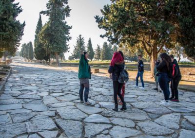 Visita guiada Itálica Santiponce