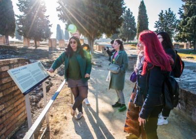 Visita guiada ciudad romana de Itálica Santiponce